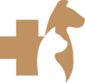 NCO Badge