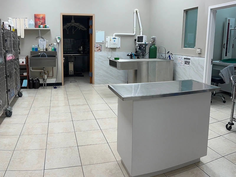 dental checkup room