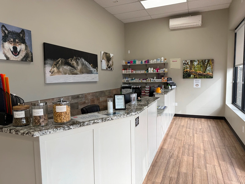 Hospital Reception