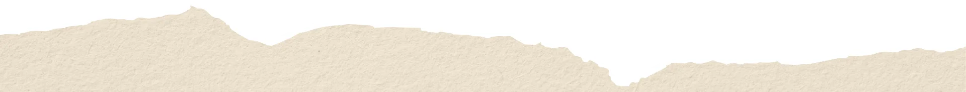 img-inner-banner-curve