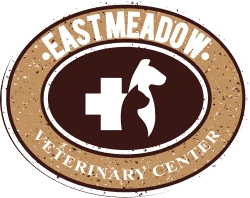 Image Logo