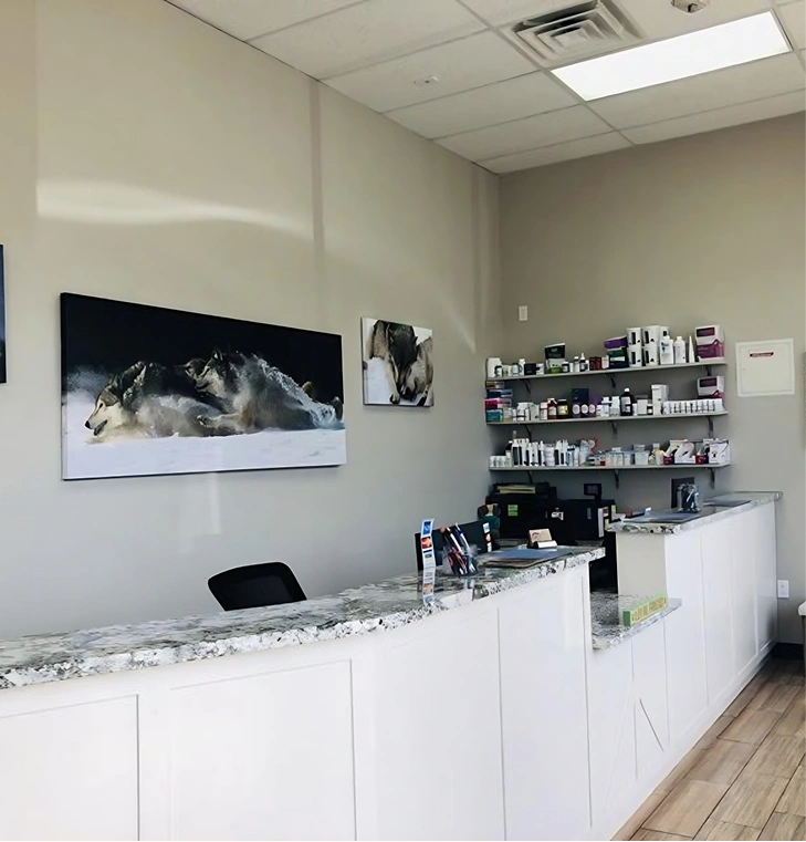 Stress-Free Pet Care with Online Ordering Image