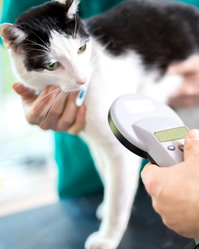 img-services-Microchipping