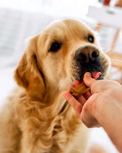 img-services-Nutritional-Counseling