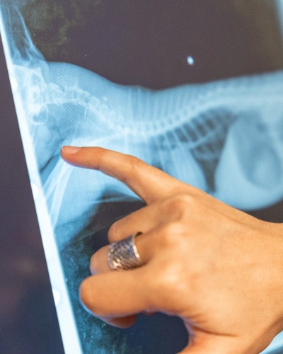 img-services-Radiology