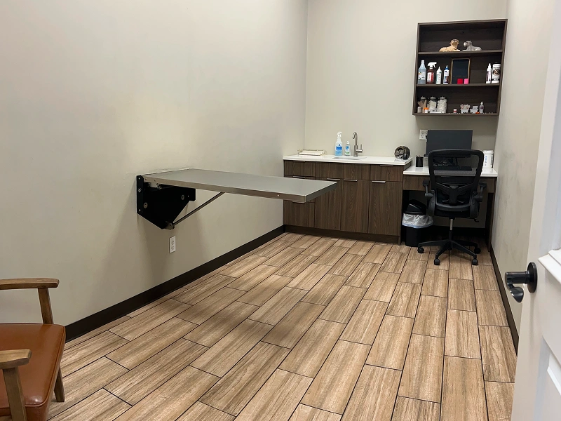 wellness exam room