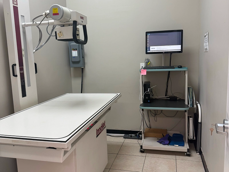 radiographs