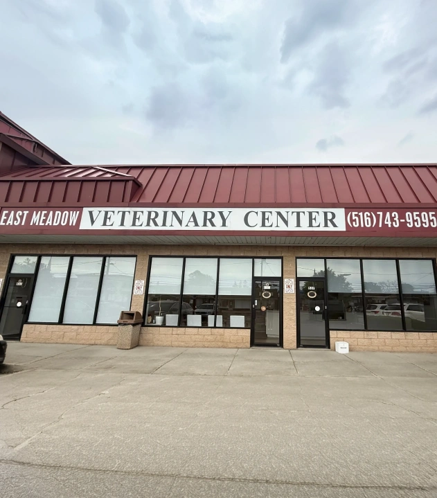Welcome To East Meadow Veterinary Center